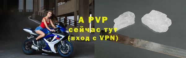 гашик Балахна