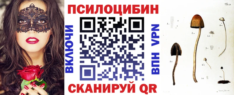 как найти наркотики  Свирск  omg ссылка  Галлюциногенные грибы Psilocybine cubensis 